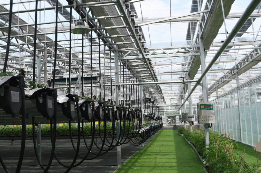 16768869088001634W7T.png 國金租賃農業項目.png